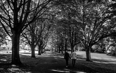 Rear view of people holding hands amidst trees at public park