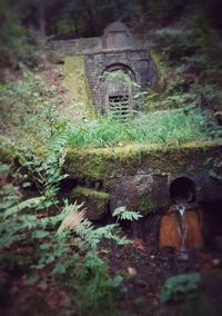 Close-up of old stone wall