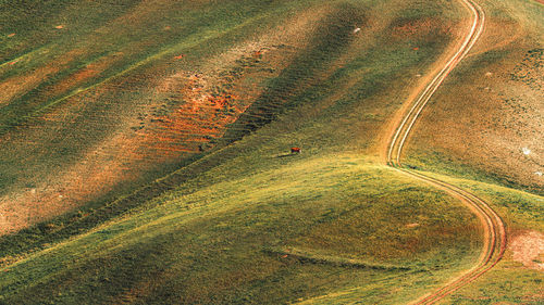 High angle view of road amidst field