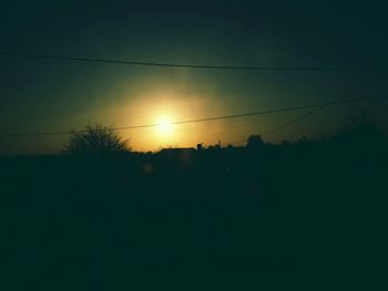 Silhouette of trees at sunset