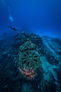 Man scuba diving in sea