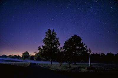 Trees on field against sky at night