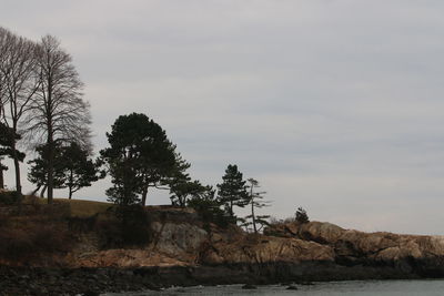 Trees by rocks against sky