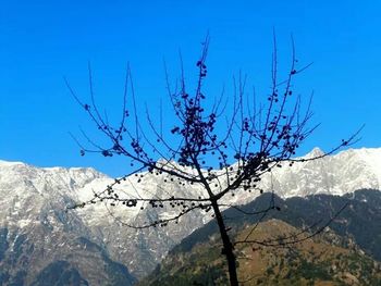 Scenic view of mountains against blue sky