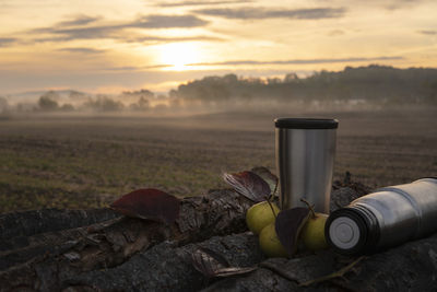 Close-up of insulated drink container and pears on wood during sunset