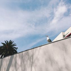 Low angle view of bird perching on roof against cloudy sky
