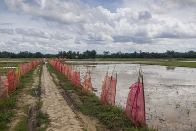 Panoramic view of field against sky