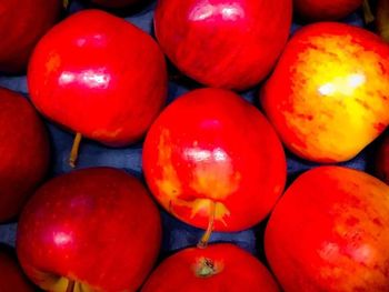 Full frame shot of tomatoes