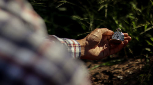 Close-up of human hand holding leaf