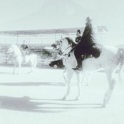 Rear view of young woman standing in park