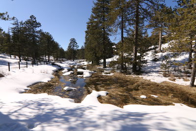 snow