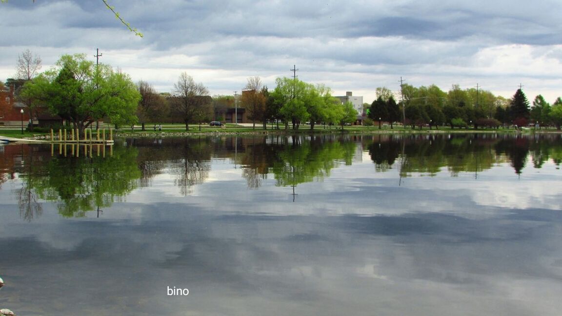 reflection, water, tree, sky, nature, lake, outdoors, no people, day, bird