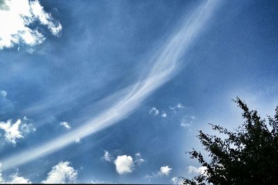 Low angle view of trees against blue sky