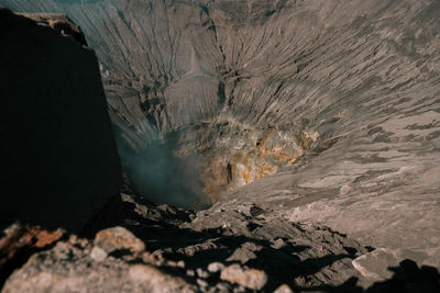 environment