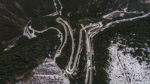 High angle view of road amidst trees