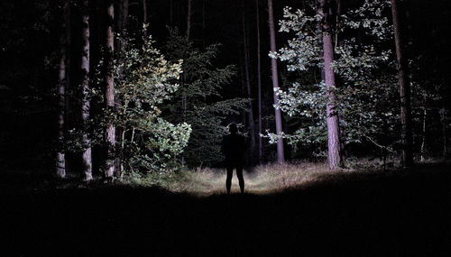 Woman standing by tree in forest at night