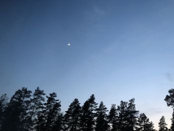 Low angle view of trees against clear blue sky