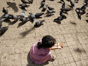 High angle view of girl feeding birds