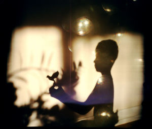 Shadow of boy holding bird at home