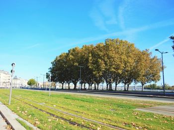 Trees on field by road against blue sky