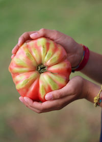 Close-up of hand holding fruit