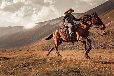 Rear view of man riding horse on field