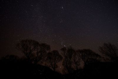 Low angle view of starry sky