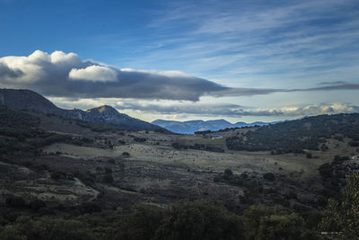 Scenic view of landscape against sky