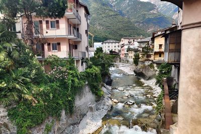 River amidst buildings and trees