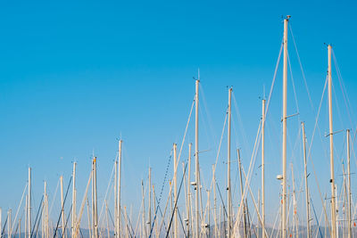 Silhouettes of match yachts in the marina against the backdrop of a clear blue sky