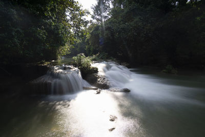 Scenic view of waterfall in forest