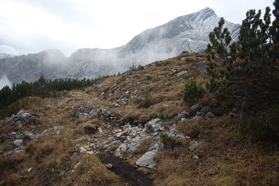 Scenic view of mountains