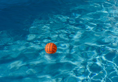 High angle view of ball floating on water in swimming pool