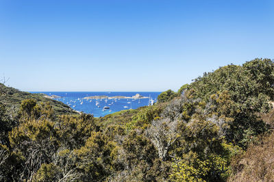 Scenic view of sea against clear blue sky