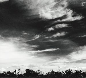 Low angle view of trees against cloudy sky