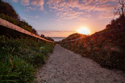 Footpath amidst trees against sky during sunset