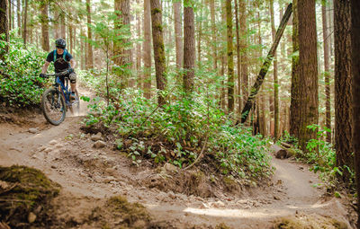 Man cycling on dirt road in forest