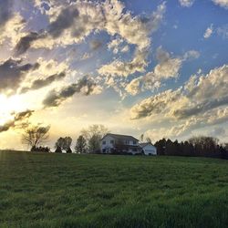 grass