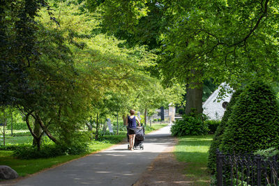 Rear view of man walking on footpath in park