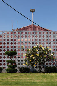 View of building and plants against blue sky