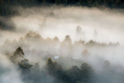 High angle view of trees against sky