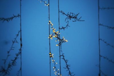 Low angle view of lights blue sky