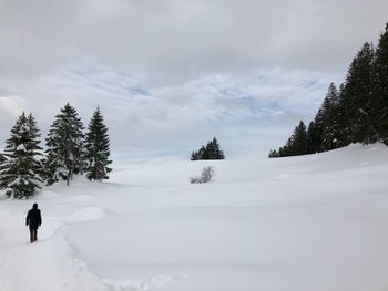 Rear view of person walking on snow covered landscape