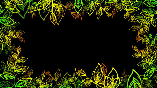 branch