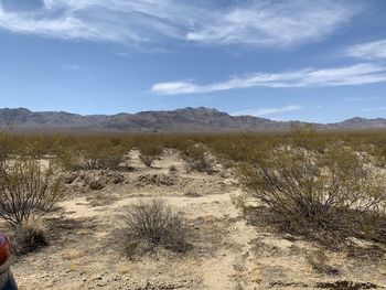 Scenic view of desert against sky