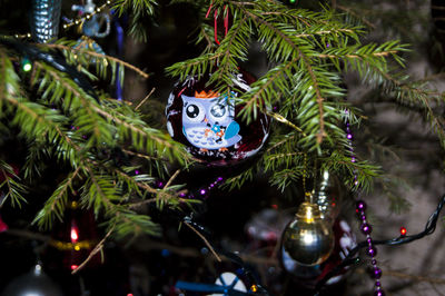 Close-up of christmas decoration on tree