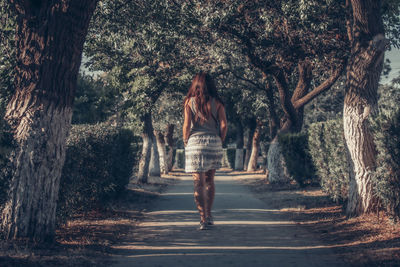 Rear view of woman walking amidst trees in forest