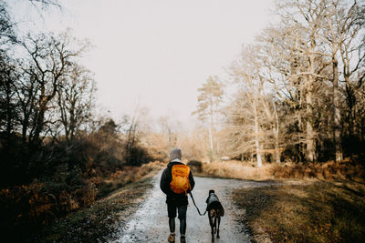 Rear view of man walking in forest