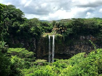 Scenic view of forest against sky