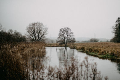 Witer scene, riverside reflection